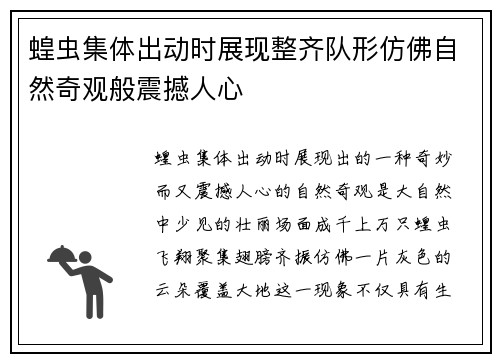 蝗虫集体出动时展现整齐队形仿佛自然奇观般震撼人心