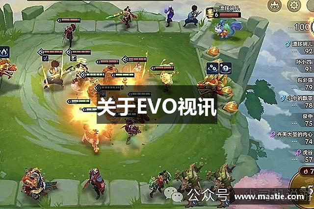 关于EVO视讯